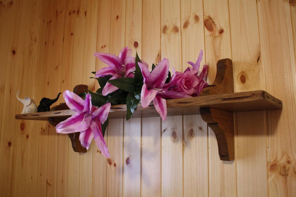 Home In Garfagnana Vagli di Sotto Εξωτερικό φωτογραφία